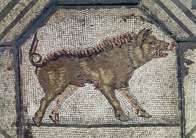 Orfeo che incanta gli animali (dettaglio di un cinghiale) da Roman
